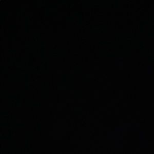 Meet your Posher, Mia